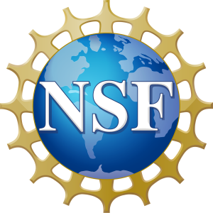 NSF_logo.svg