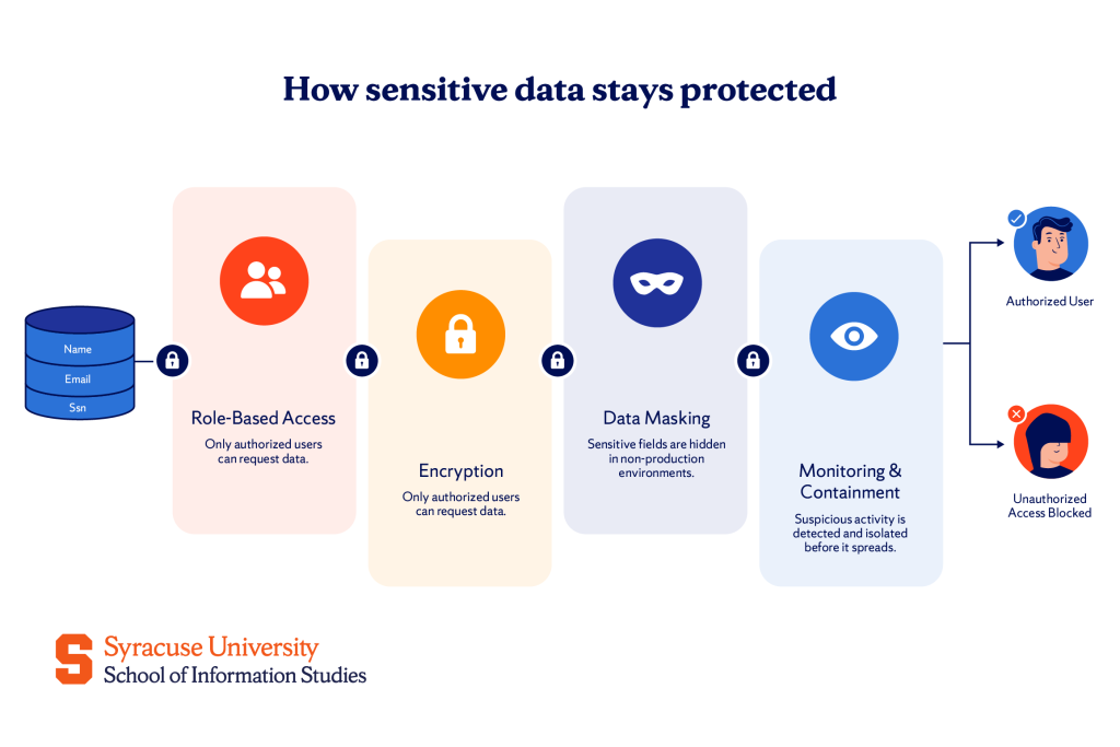 Data Management Skills