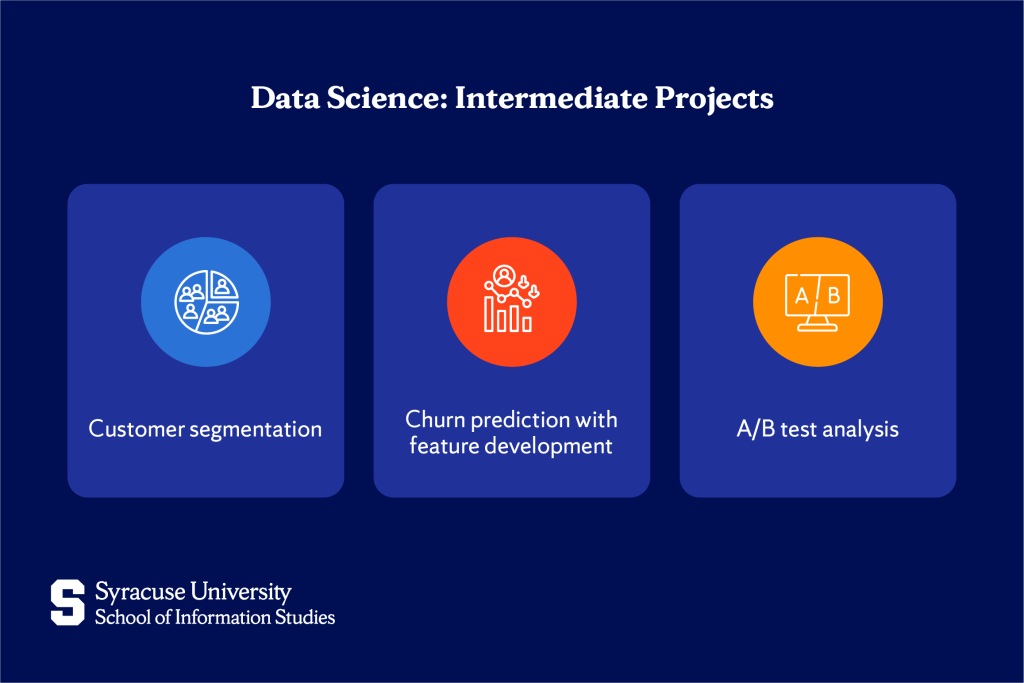 Intermediate Data Science Projects