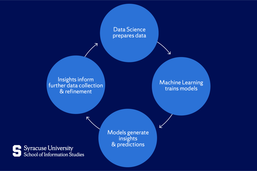 An illustration of the cyclical process showing how Data Science and Machine Learning work together