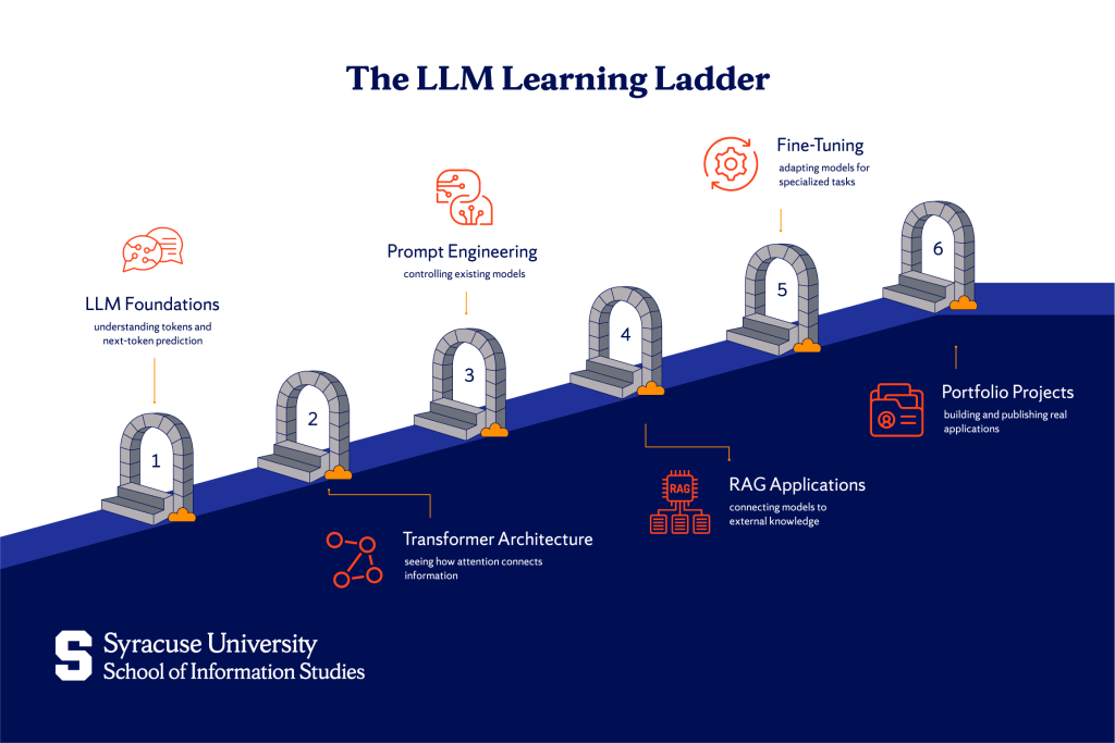 How to Learn Large Language Models: A Step-by-Step Path
