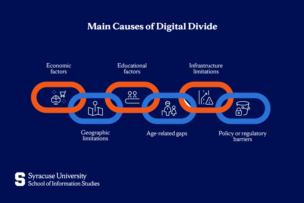 Main causes of disital divide
