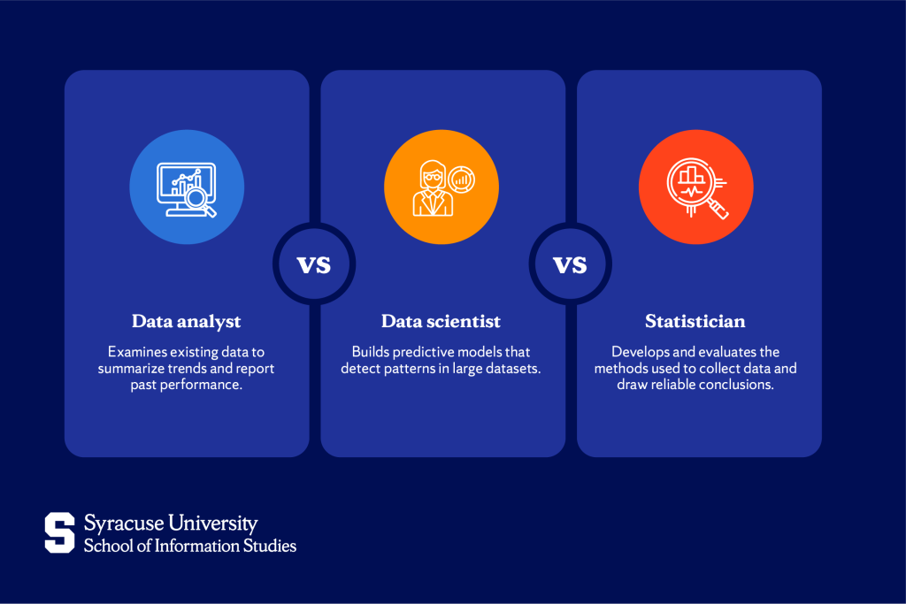 what does a statistician do