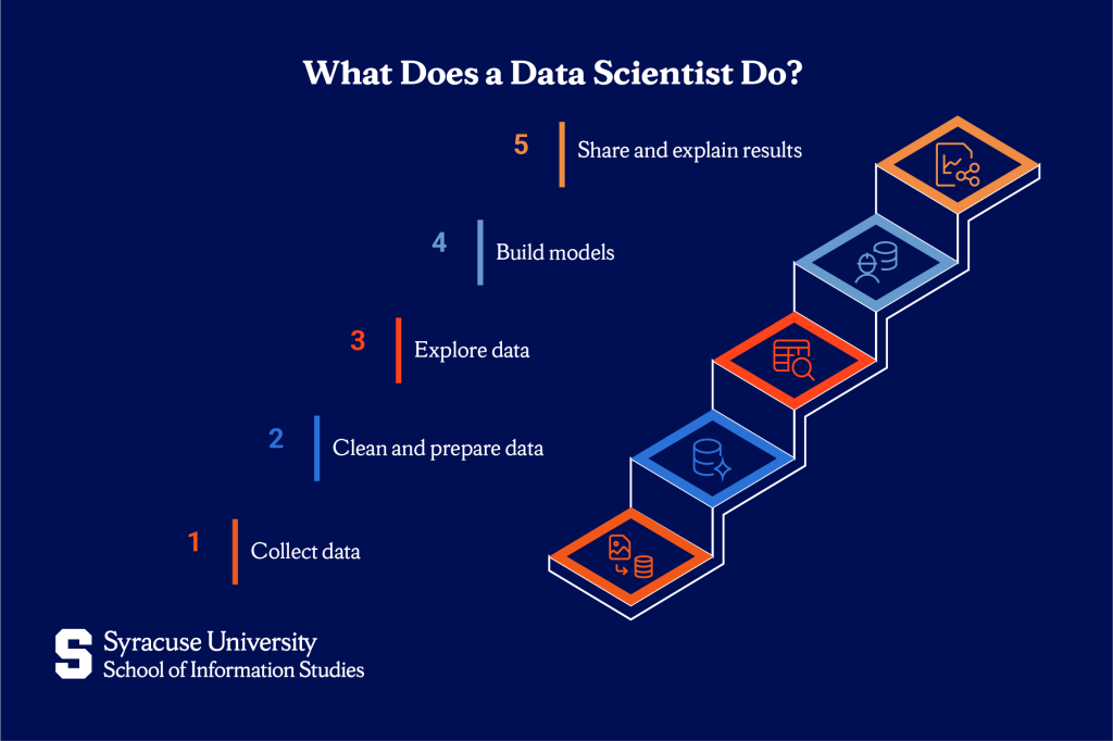 what does a data scientist do