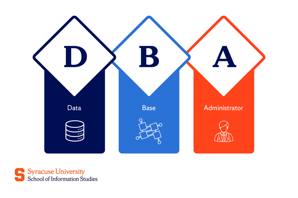What Is a Database Administrator? Roles & Skills